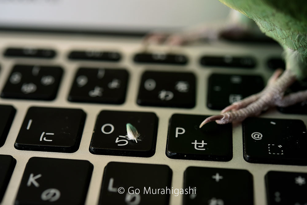 f:id:photosgo:20190615225420j:plain