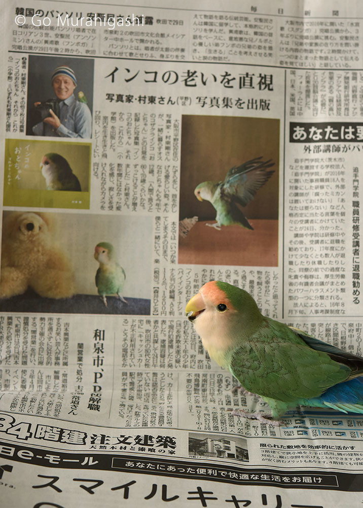 f:id:photosgo:20190627144414j:plain