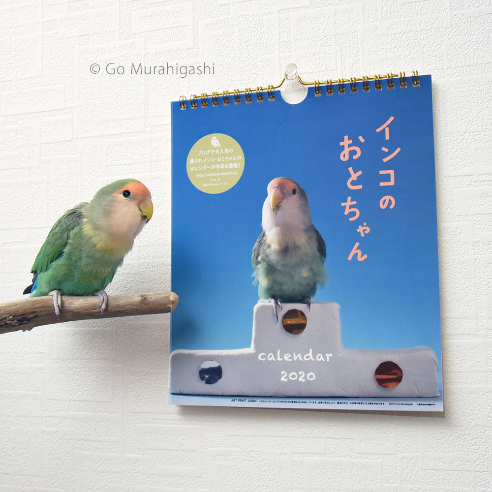 f:id:photosgo:20190902123115j:plain