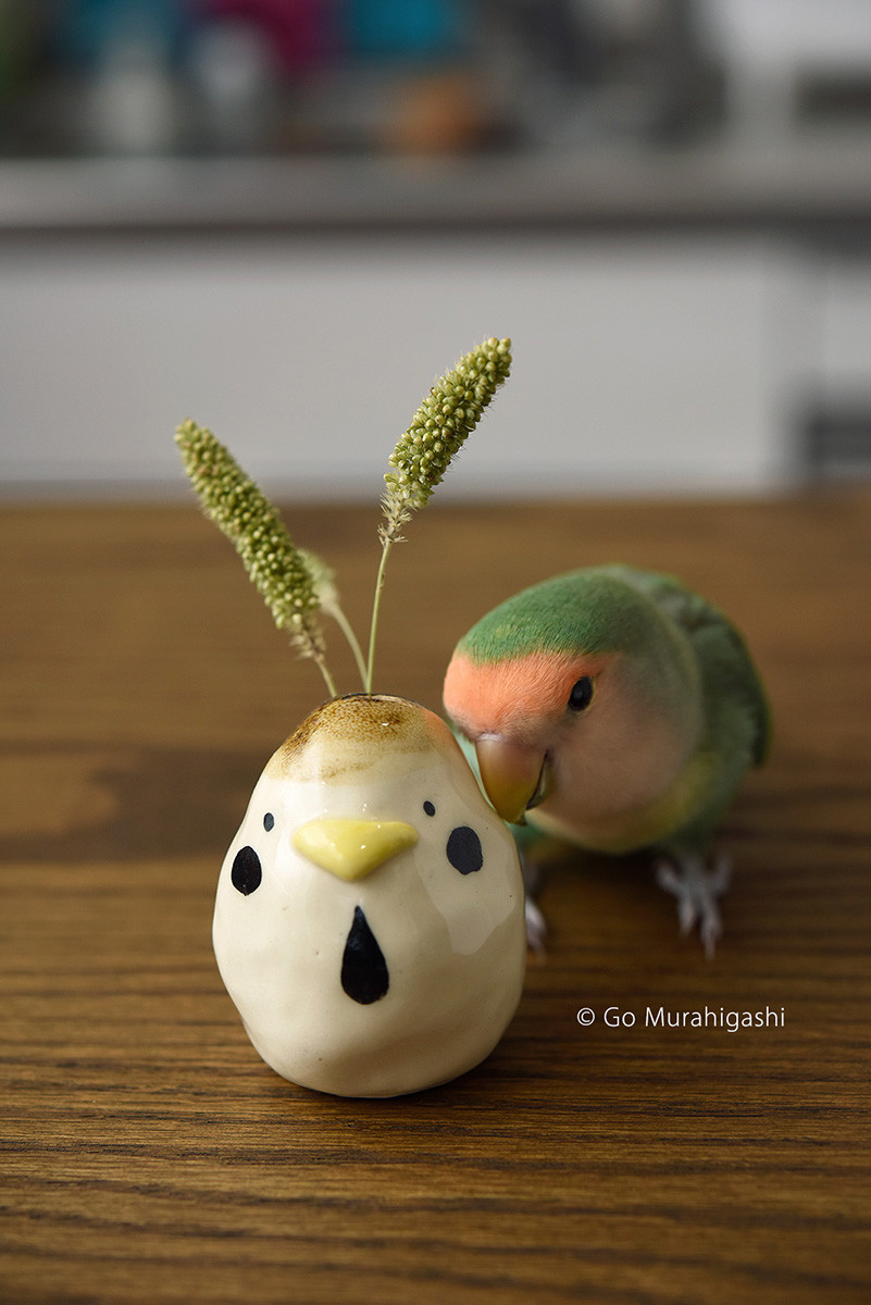 f:id:photosgo:20190920212744j:plain