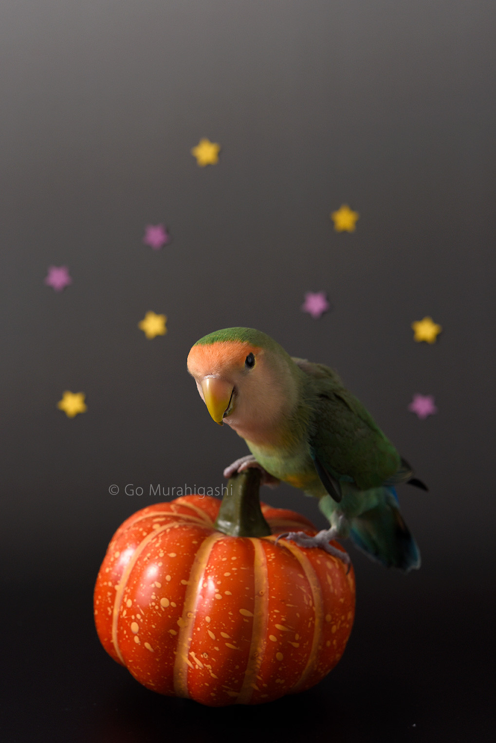 f:id:photosgo:20191031121016j:plain