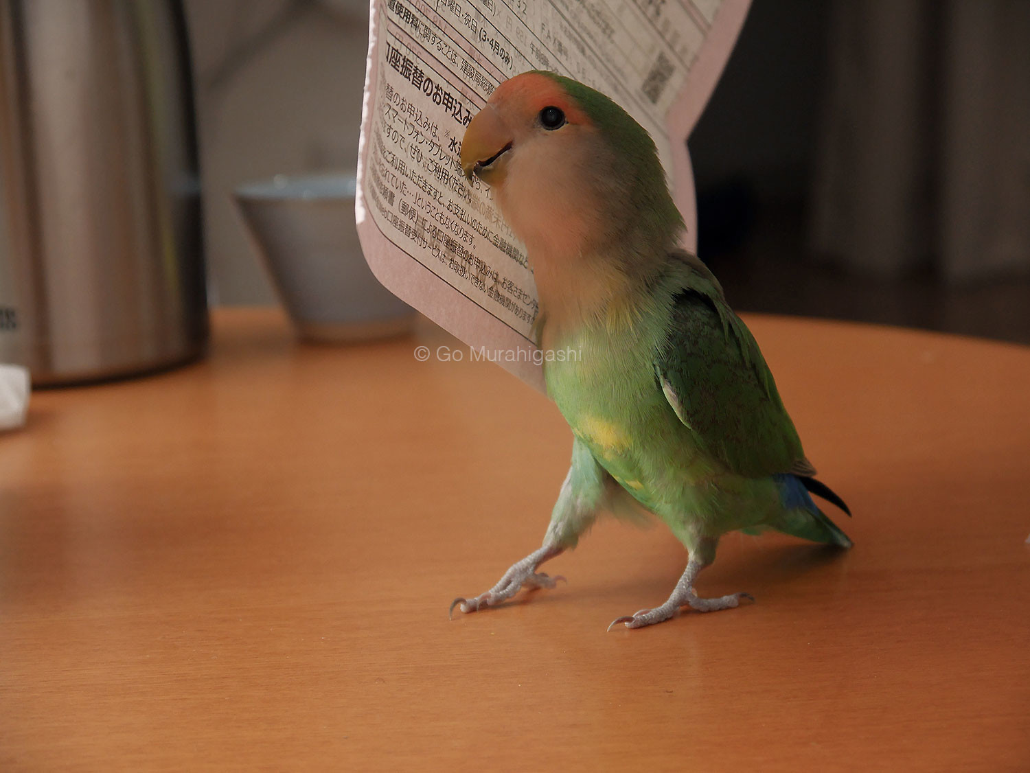 f:id:photosgo:20191111171514j:plain