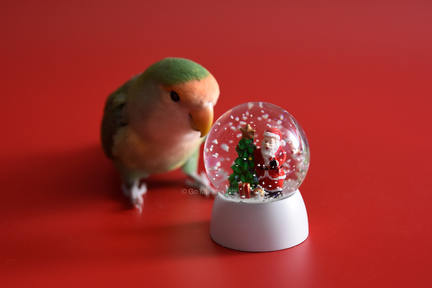 f:id:photosgo:20191223145923j:plain f:id:photosgo:20191223145923j:plain