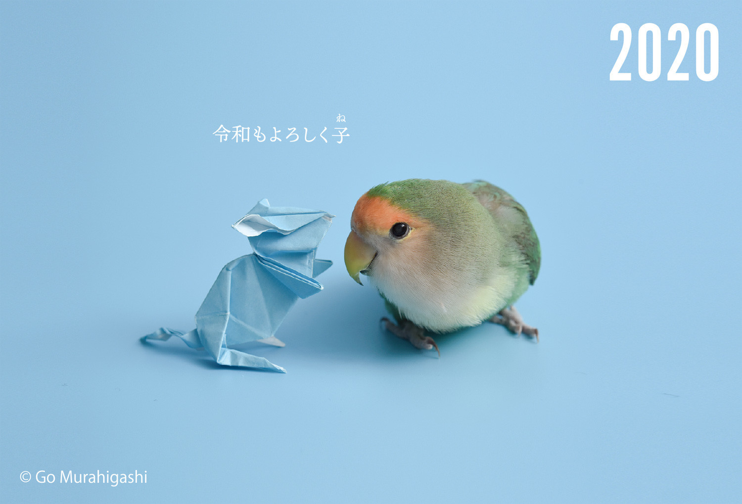 f:id:photosgo:20191231130236j:plain