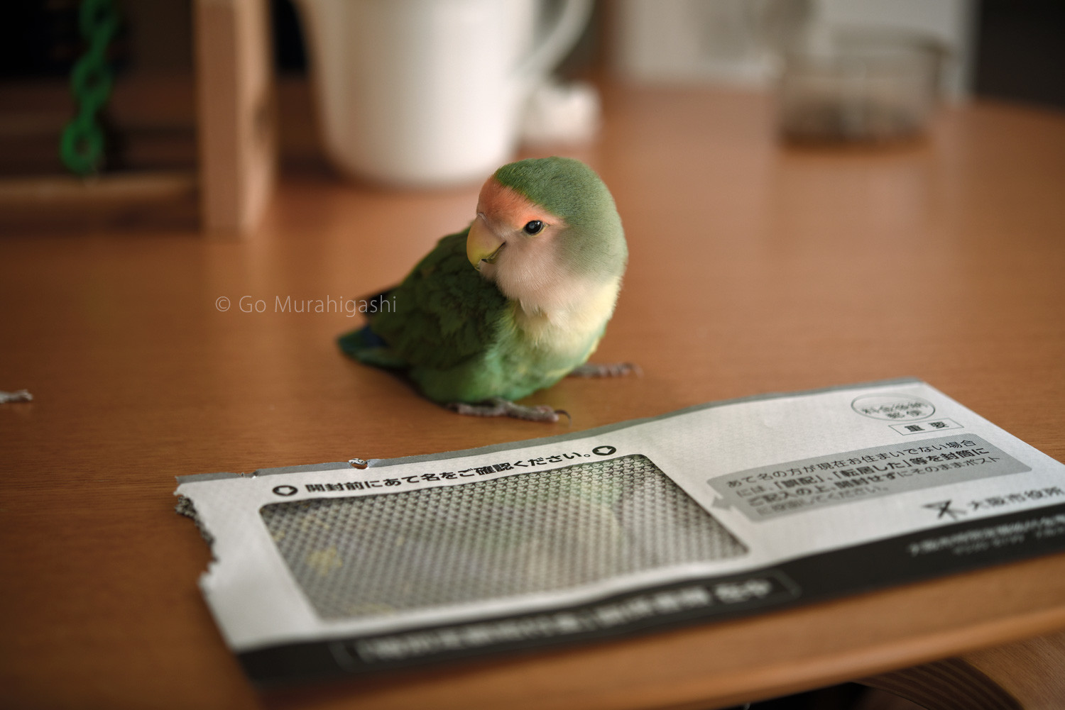 f:id:photosgo:20200530120414j:plain f:id:photosgo:20200530120414j:plain