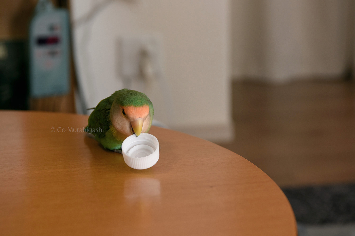 f:id:photosgo:20200722151711j:plain