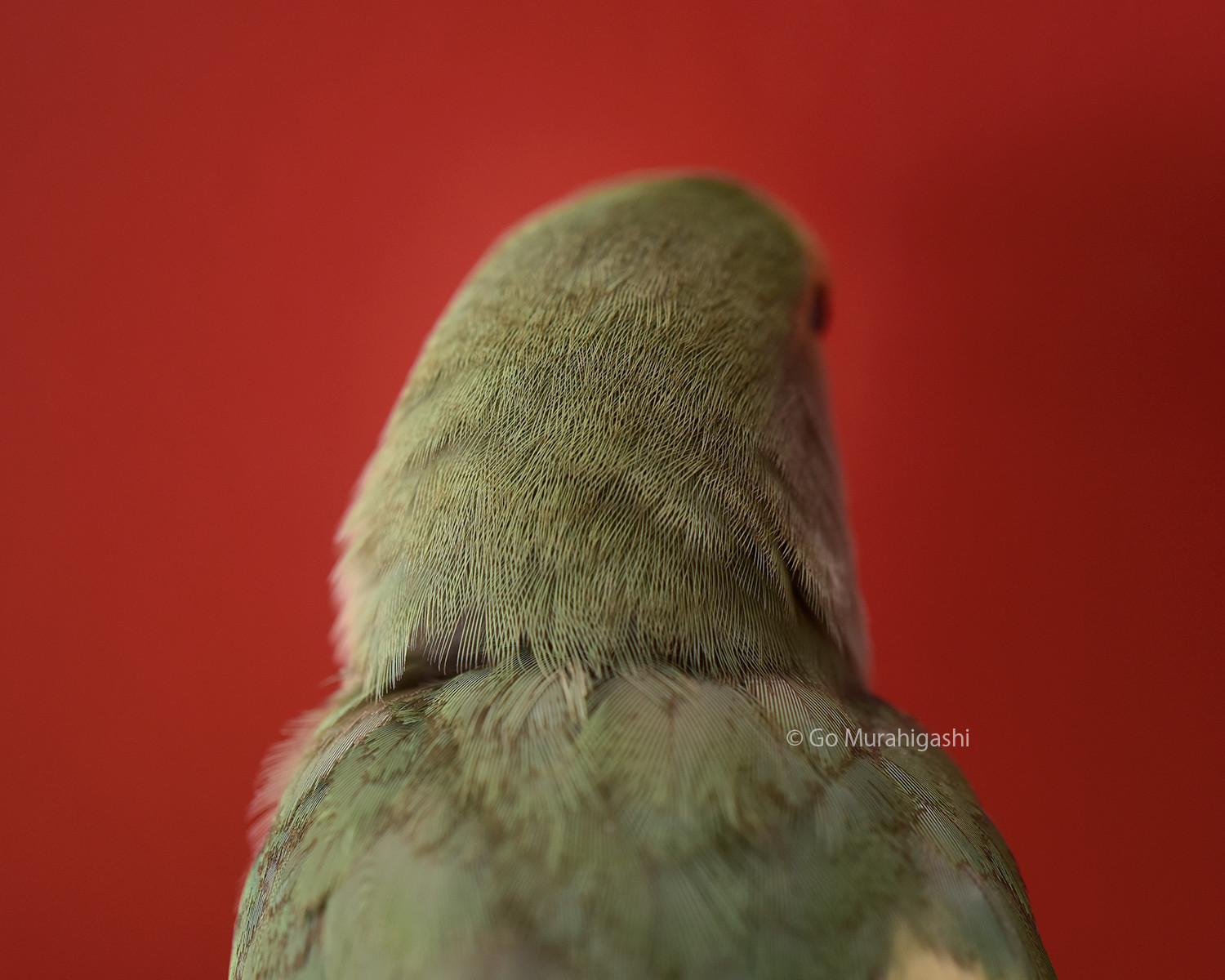 f:id:photosgo:20200826133628j:plain