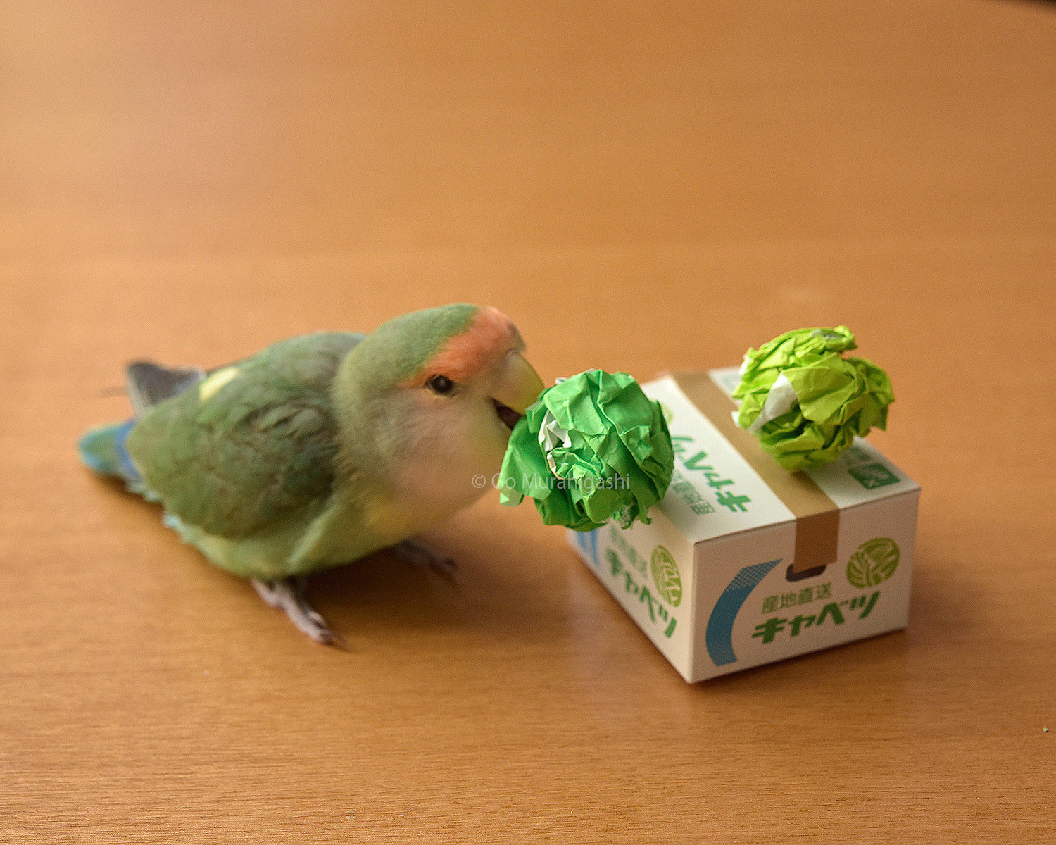 f:id:photosgo:20200906160056j:plain