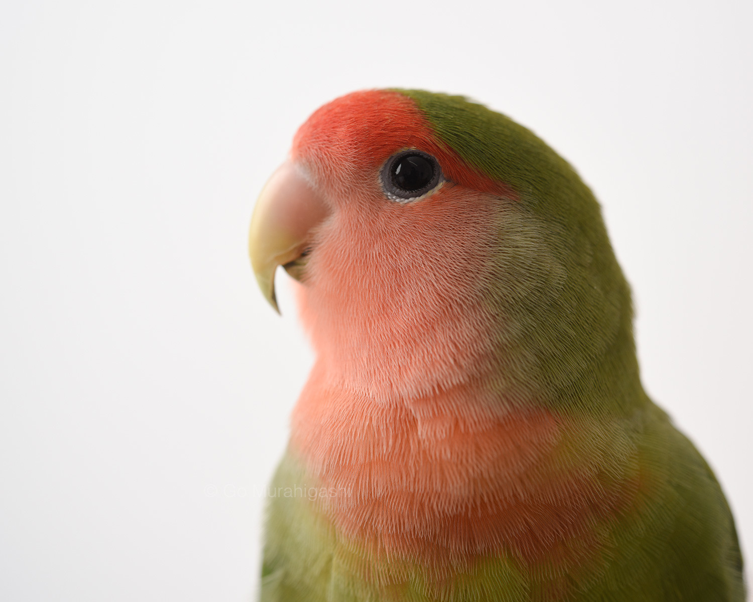 f:id:photosgo:20200923174249j:plain