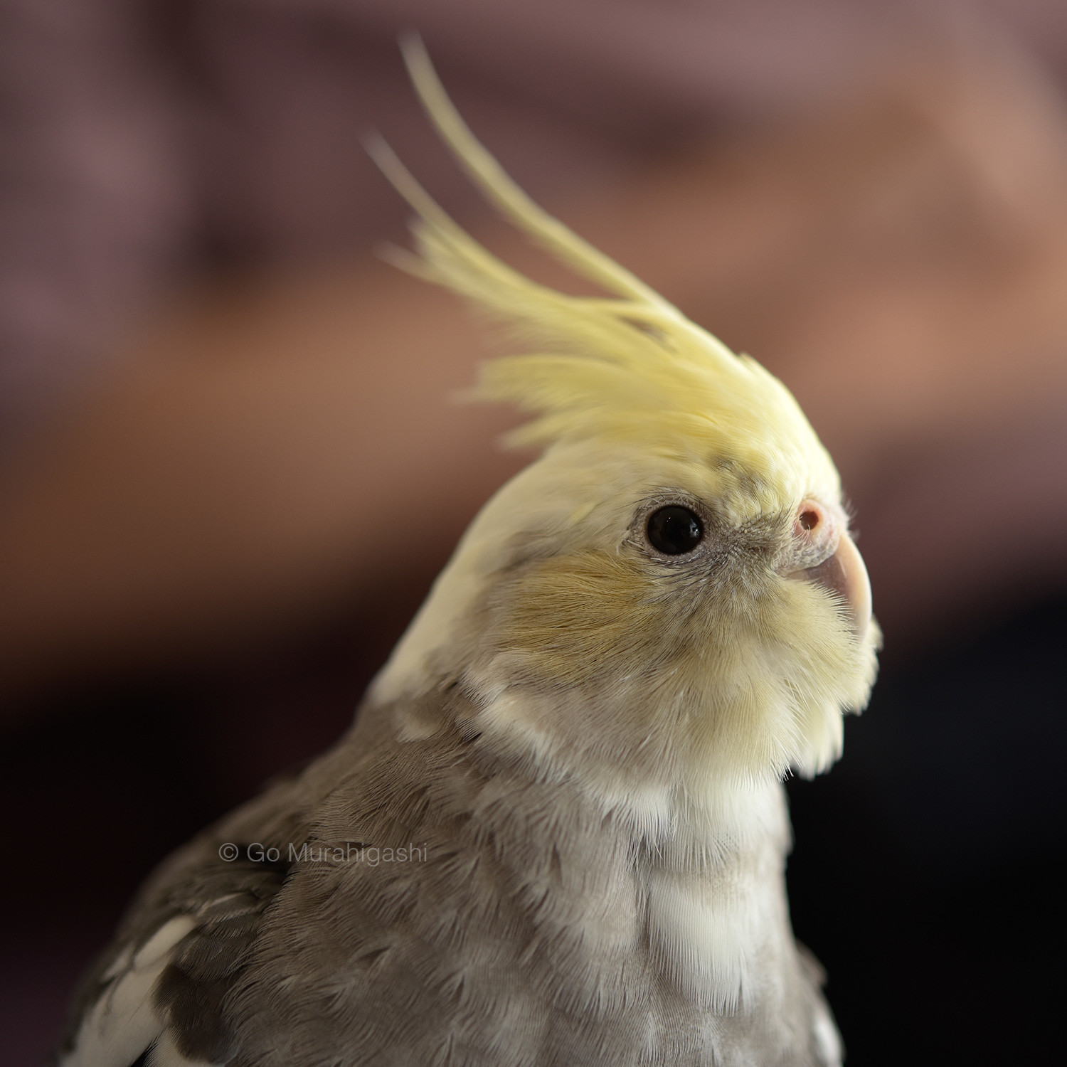 f:id:photosgo:20200930162016j:plain