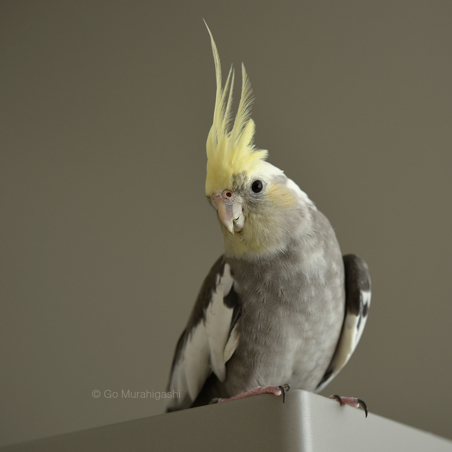 f:id:photosgo:20200930162041j:plain