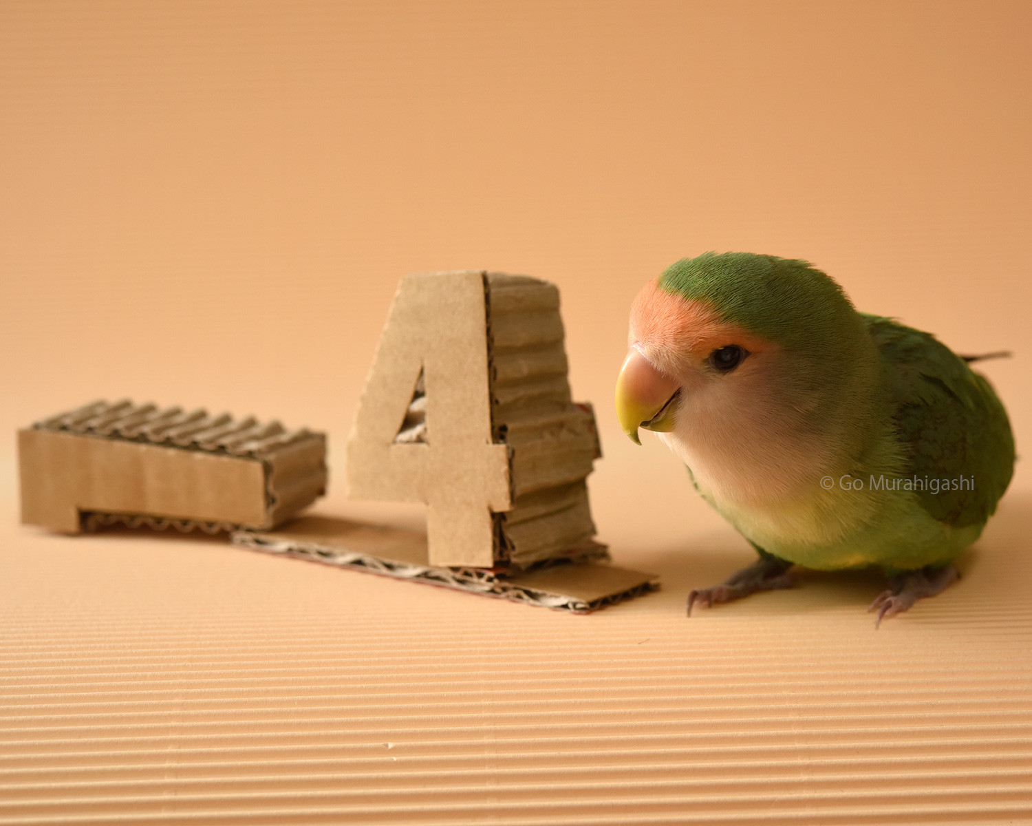 f:id:photosgo:20210122165018j:plain