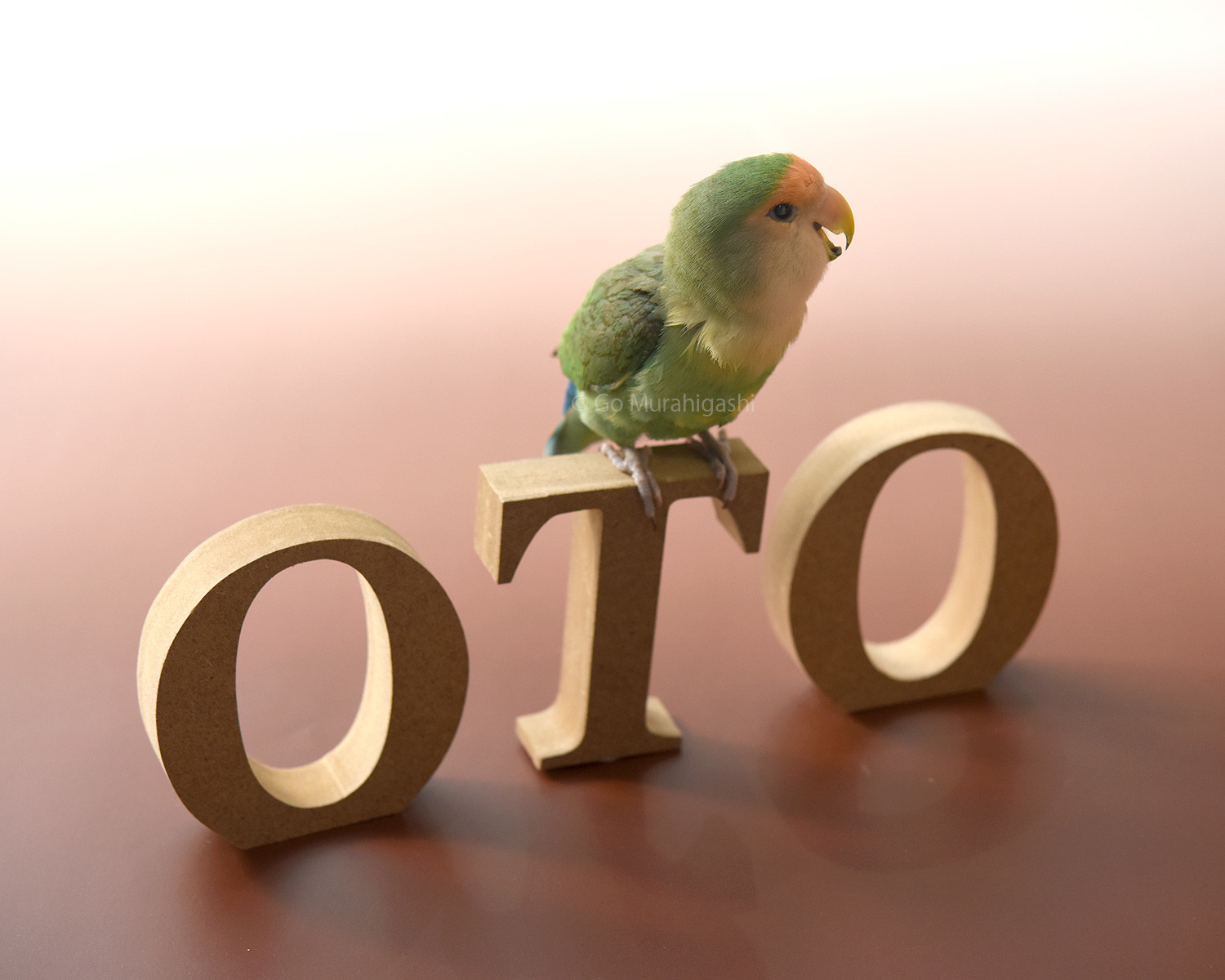 f:id:photosgo:20210317224326j:plain