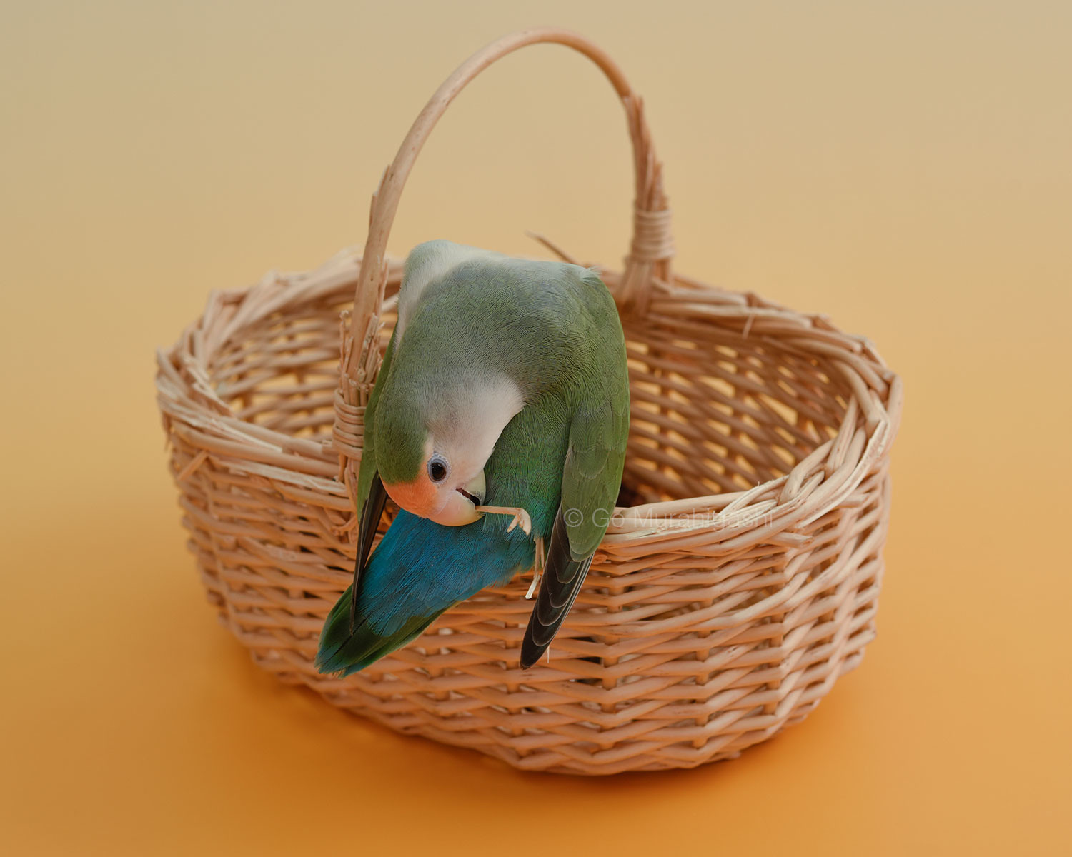 f:id:photosgo:20210512190723j:plain