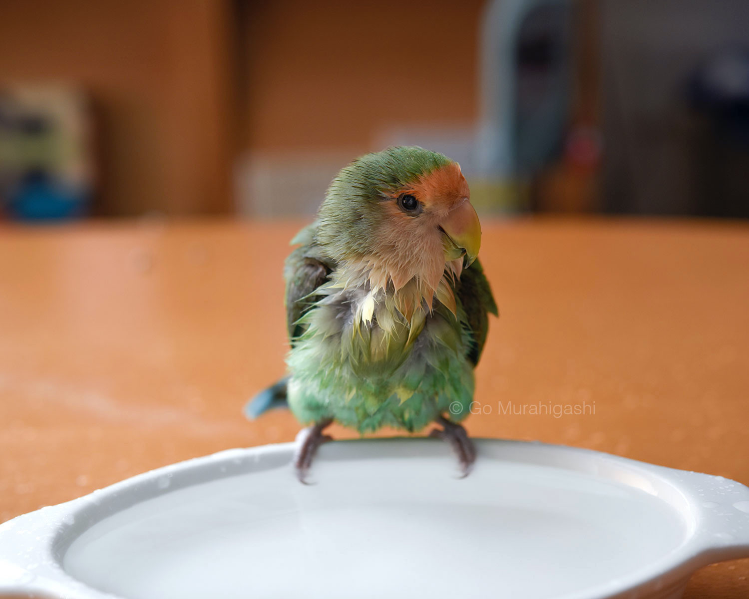 f:id:photosgo:20210527213610j:plain