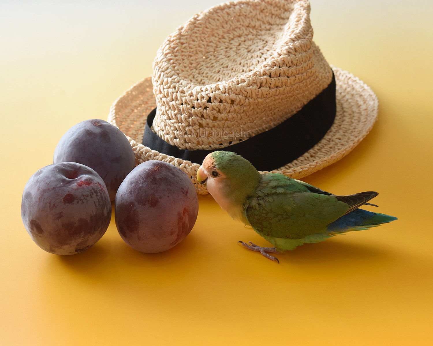 f:id:photosgo:20210820151053j:plain