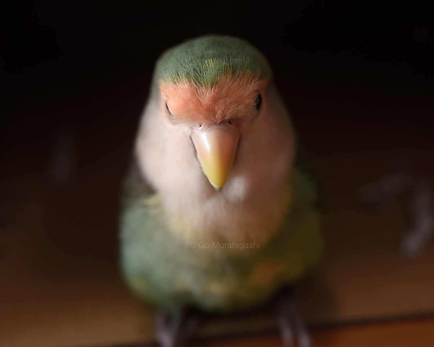 f:id:photosgo:20210824125557j:plain
