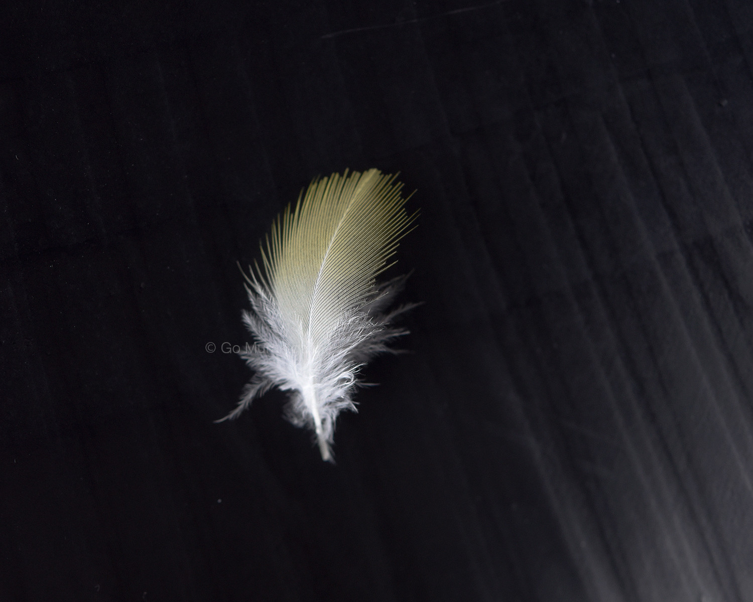 f:id:photosgo:20210902175151j:plain