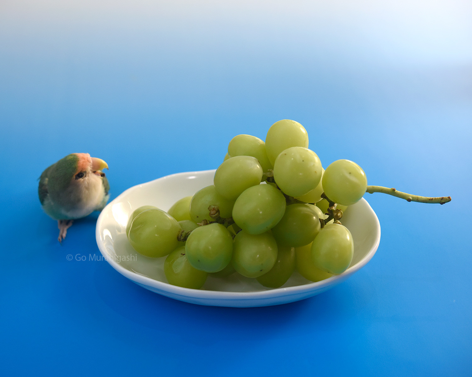 f:id:photosgo:20210930224528j:plain