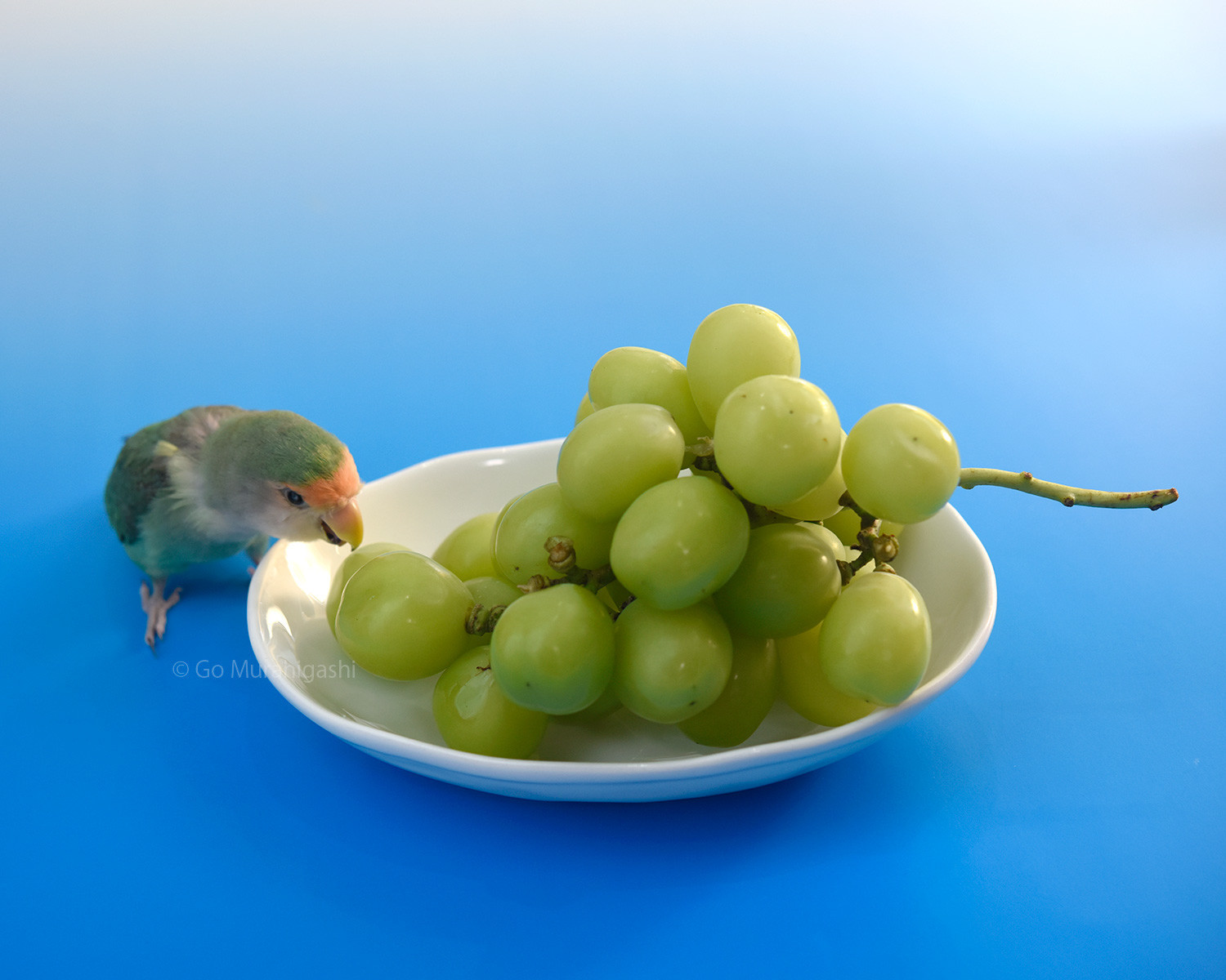 f:id:photosgo:20210930224547j:plain