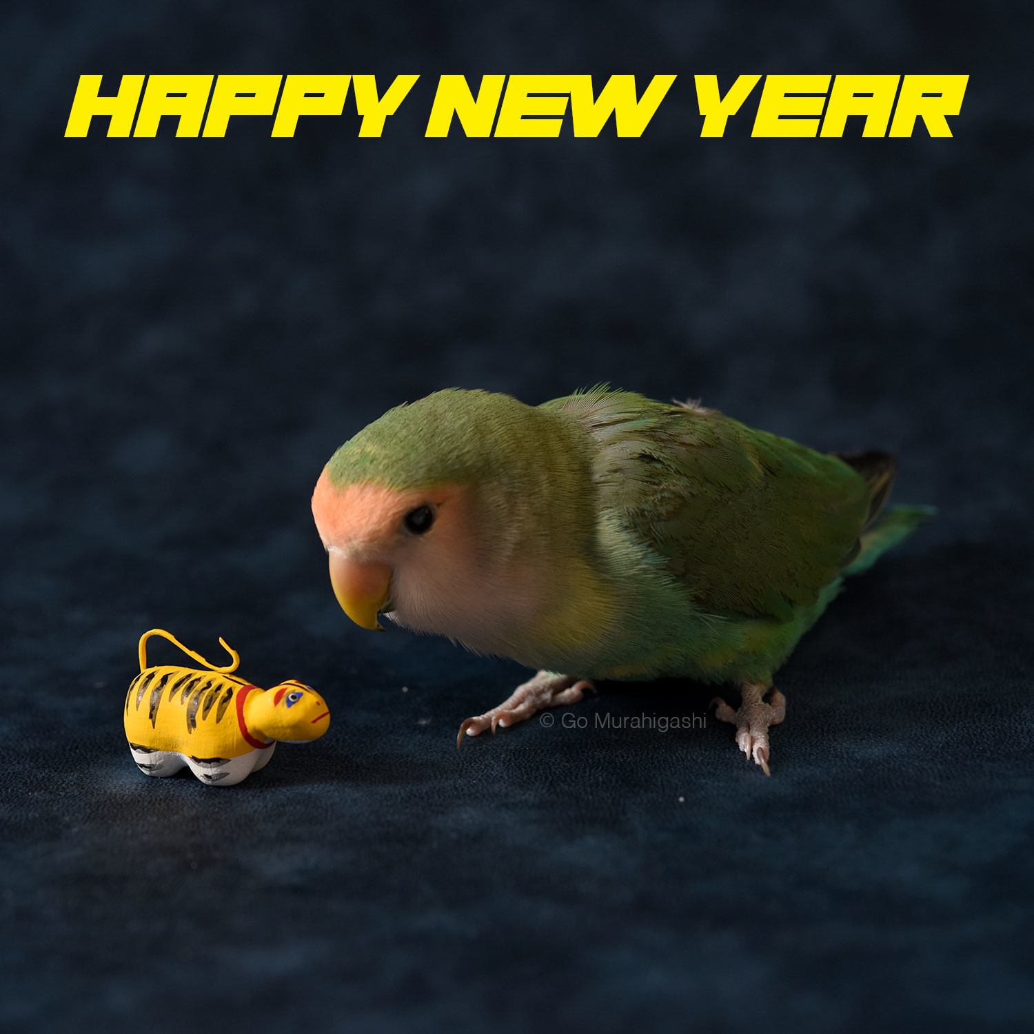 f:id:photosgo:20220101011505j:plain