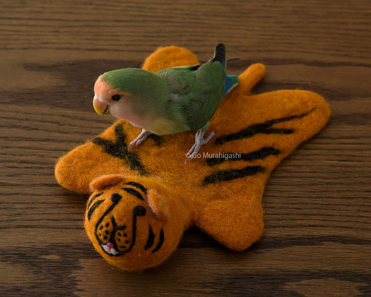 f:id:photosgo:20220103130250j:plain