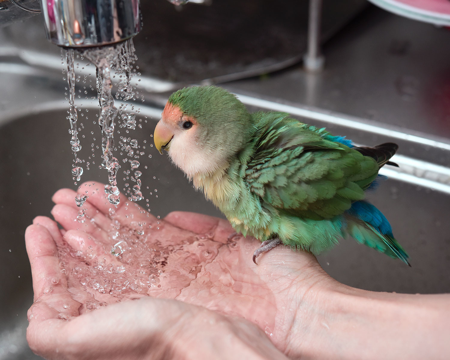 f:id:photosgo:20220119144725j:plain