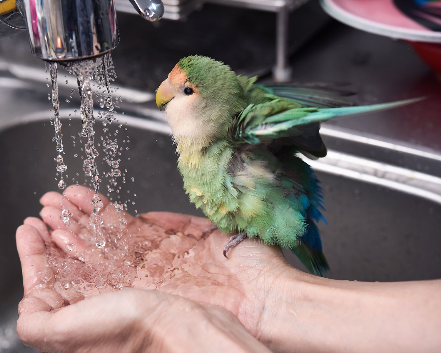 f:id:photosgo:20220119144742j:plain