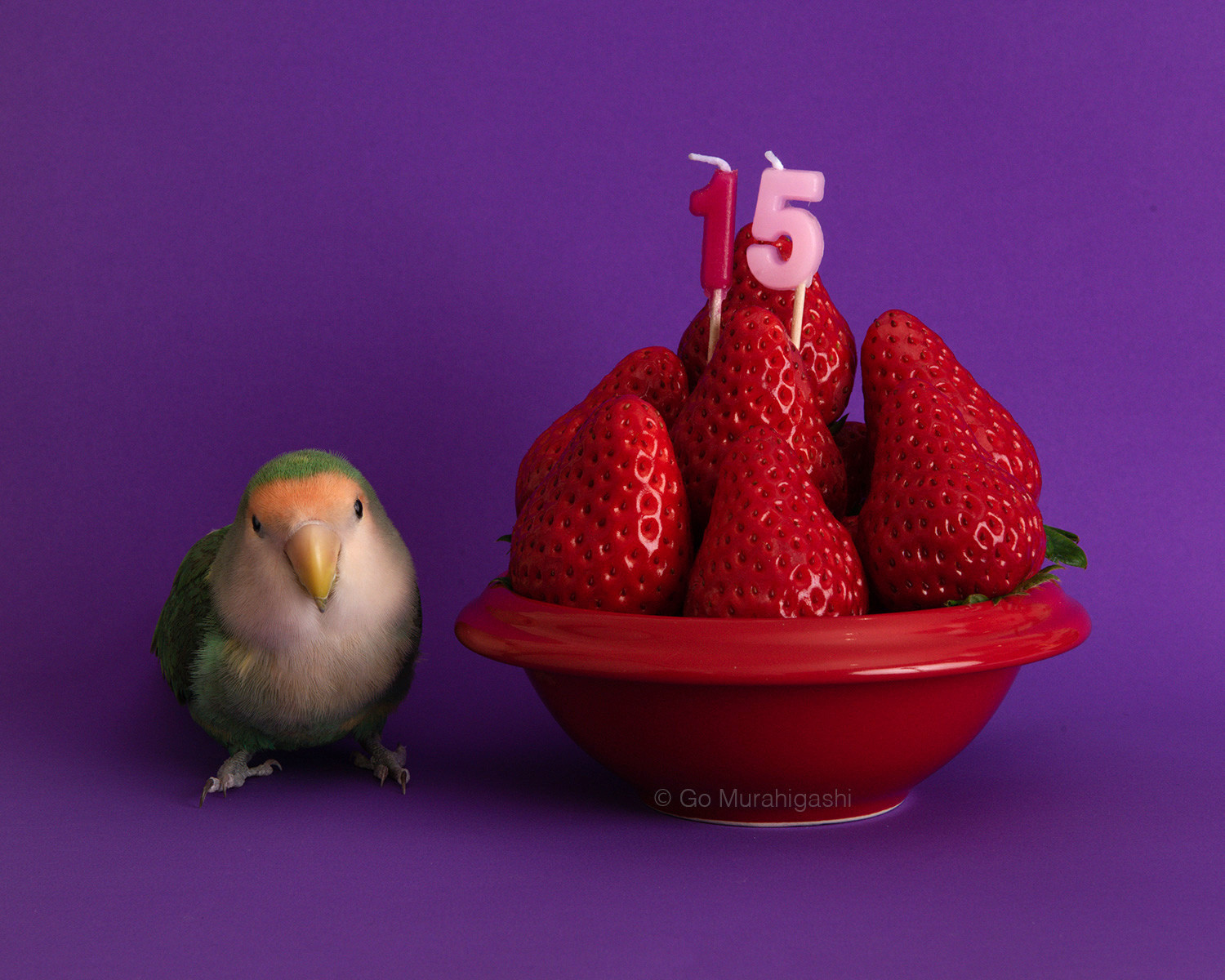 f:id:photosgo:20220122125425j:plain