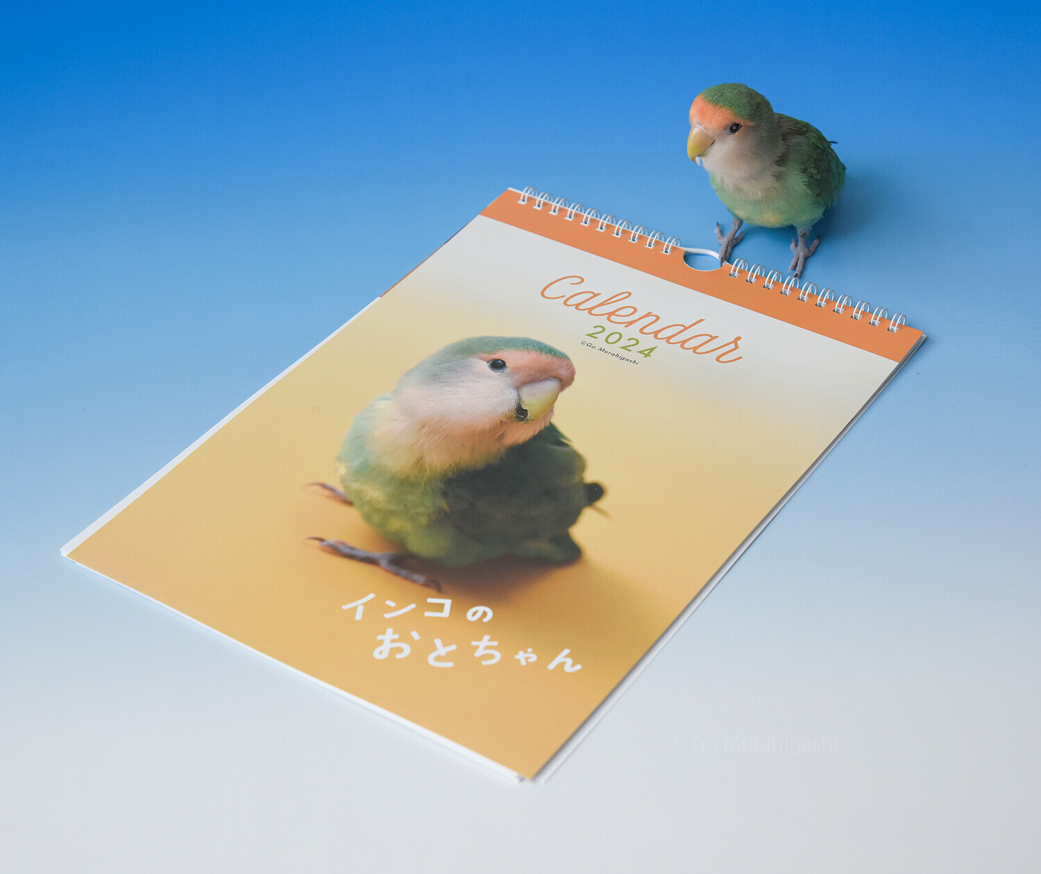 ♡インコちゃんオーダーページ インコのおとちゃんカレンダー2024 - おとちゃんノート(らくちゃん編)
