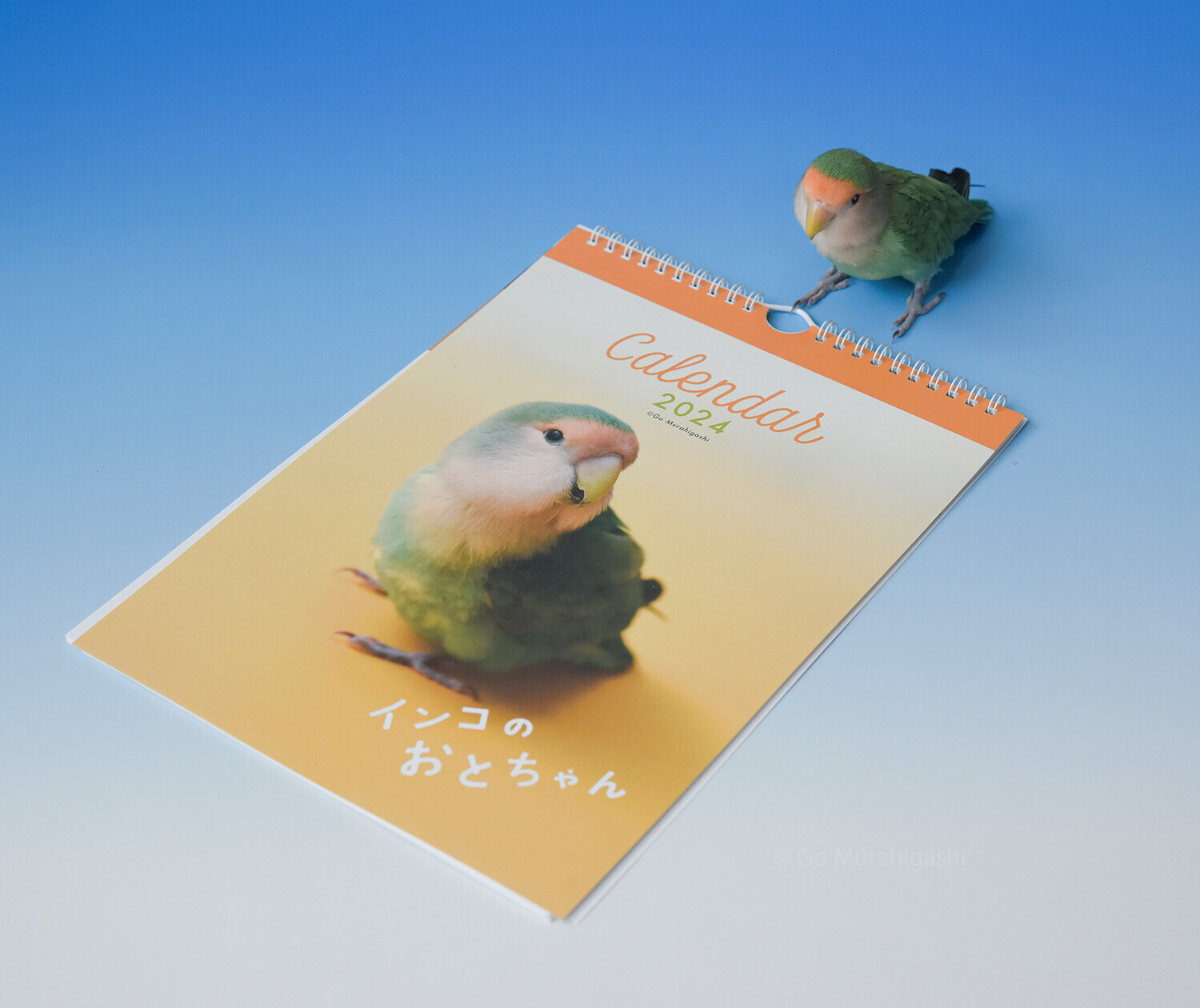 インコのおとちゃんカレンダー2024 - おとちゃんノート(らくちゃん編)