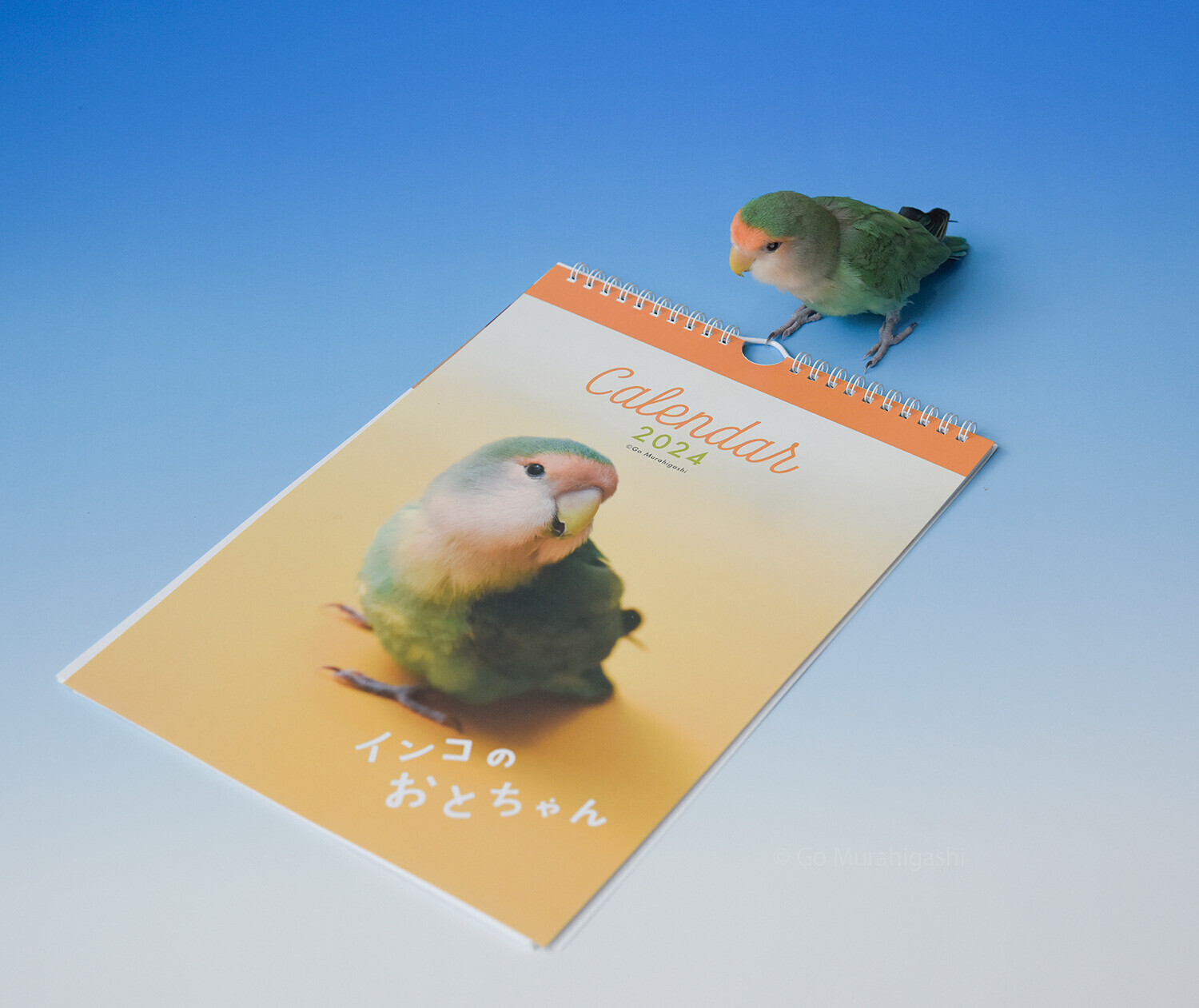インコのおとちゃんカレンダー2024 - おとちゃんノート(らくちゃん編)