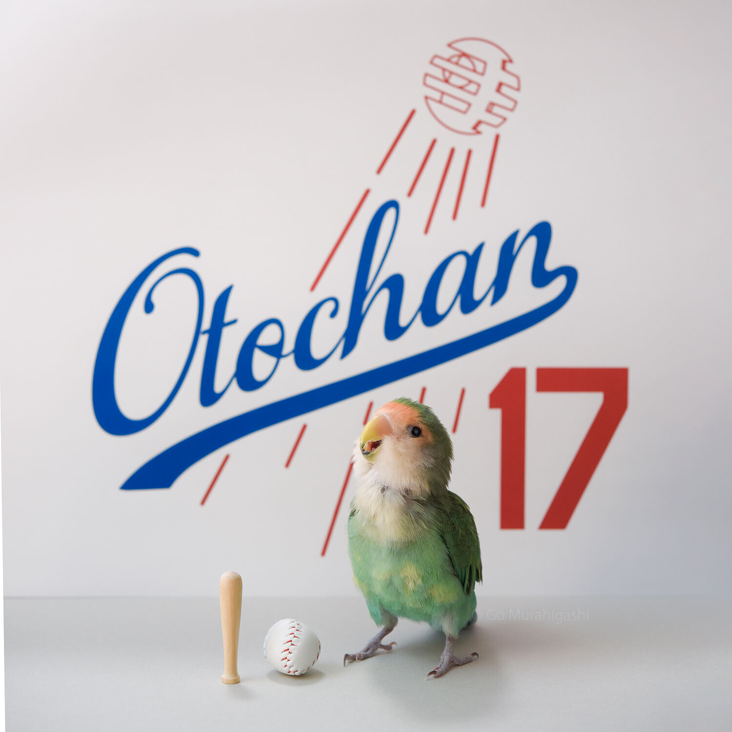 ハッピーバースデーおとちゃん17才になりました - おとちゃんノート