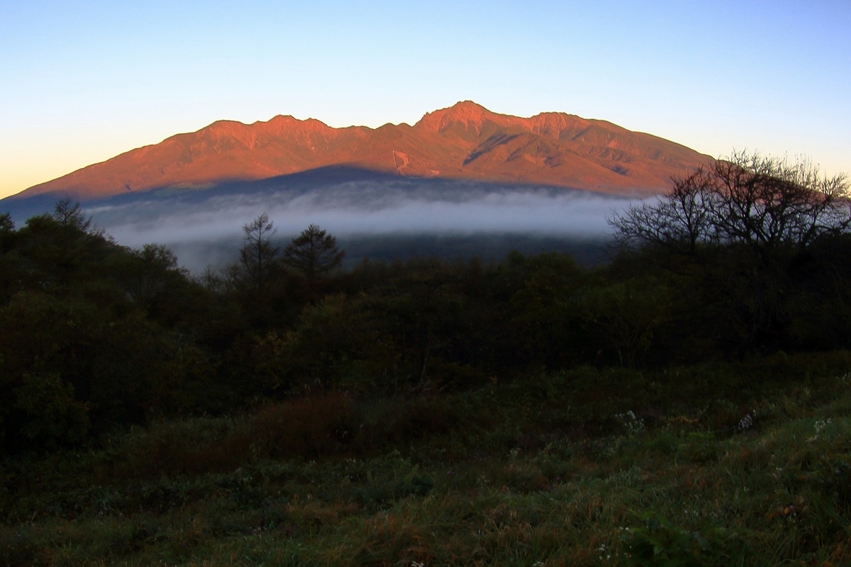 f:id:photozoom:20211109094411j:plain