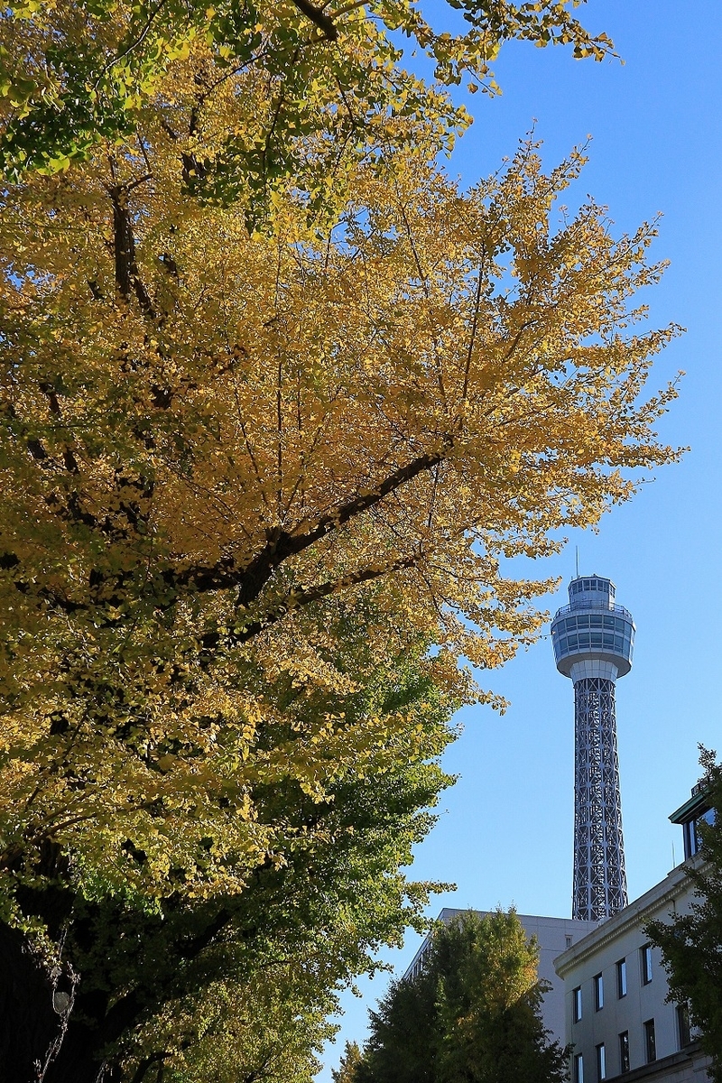 f:id:photozoom:20211119144448j:plain