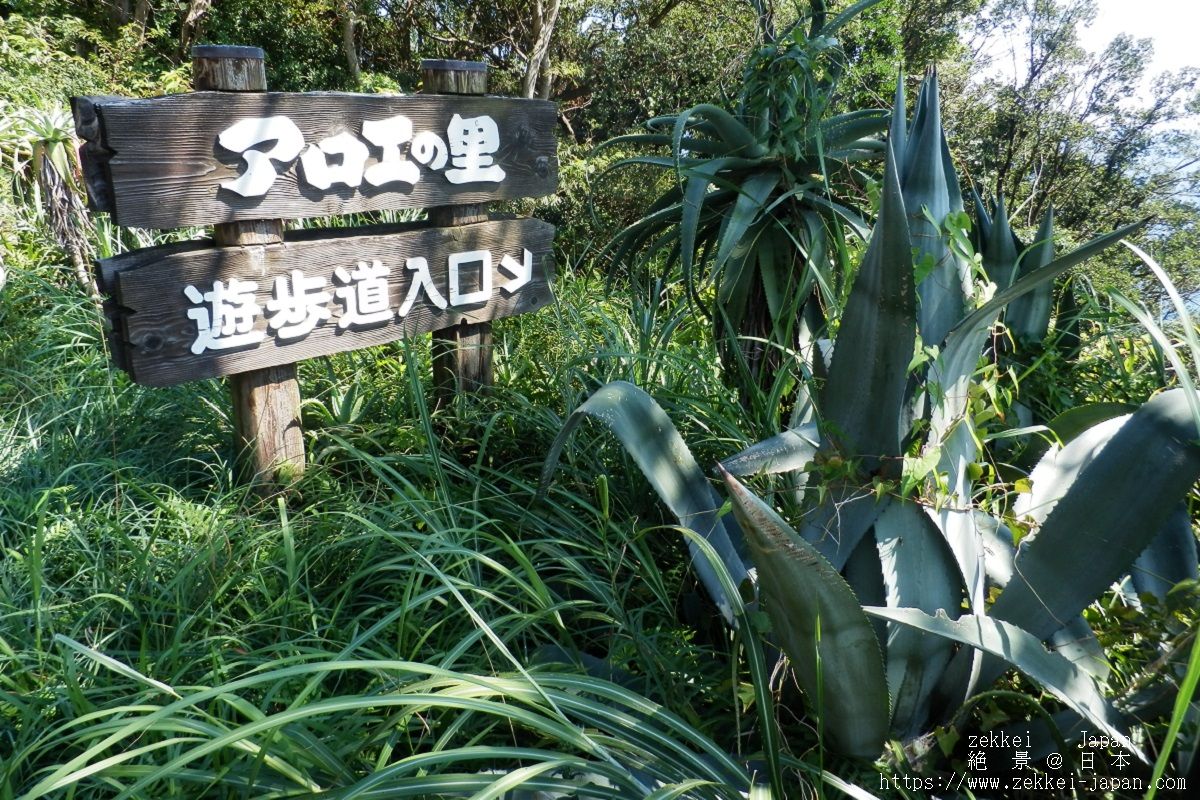 f:id:photravelog:20190427071110j:plain f:id:photravelog:20190427071110j:plain
