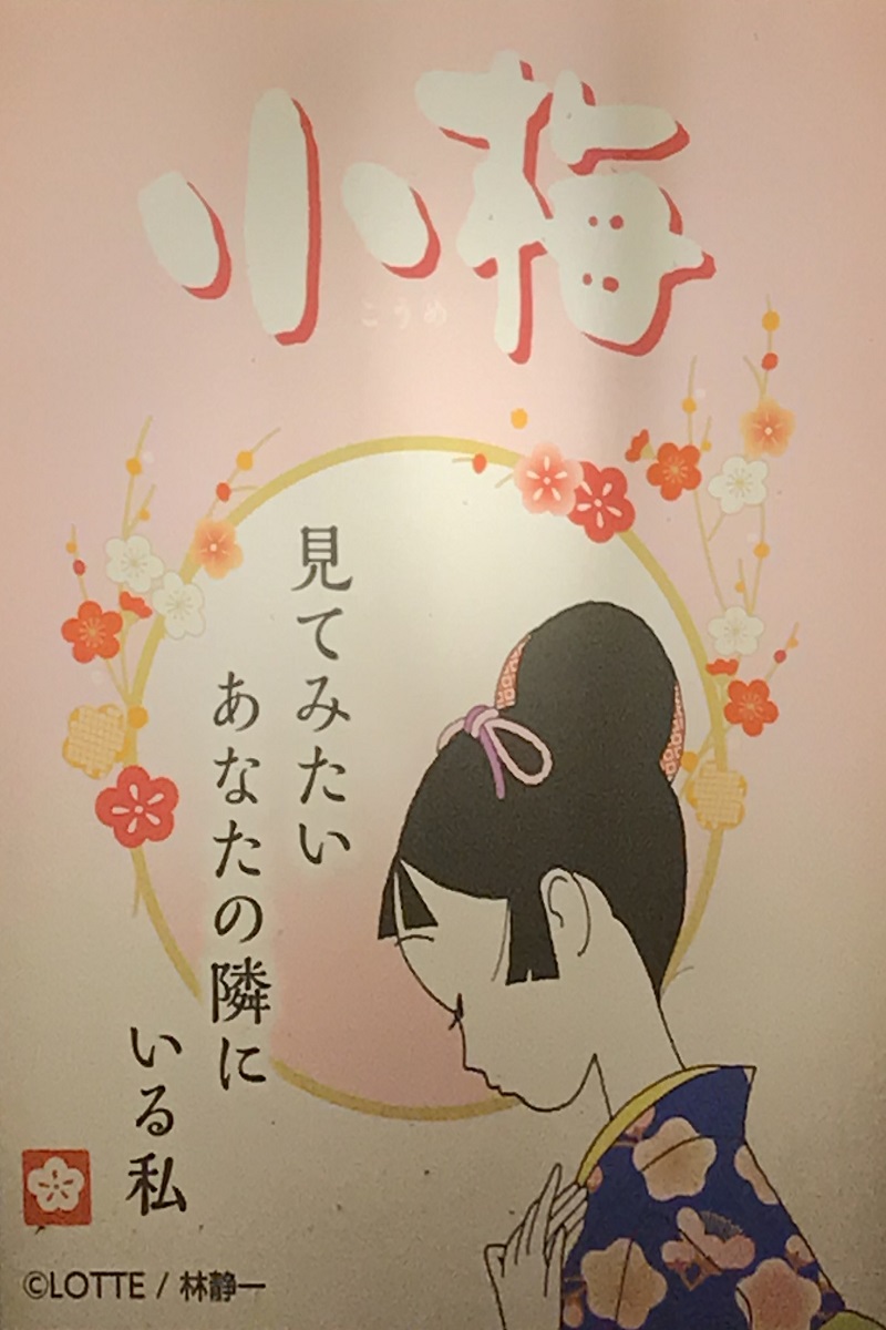 f:id:photravelog:20190617164244j:plain f:id:photravelog:20190617164244j:plain