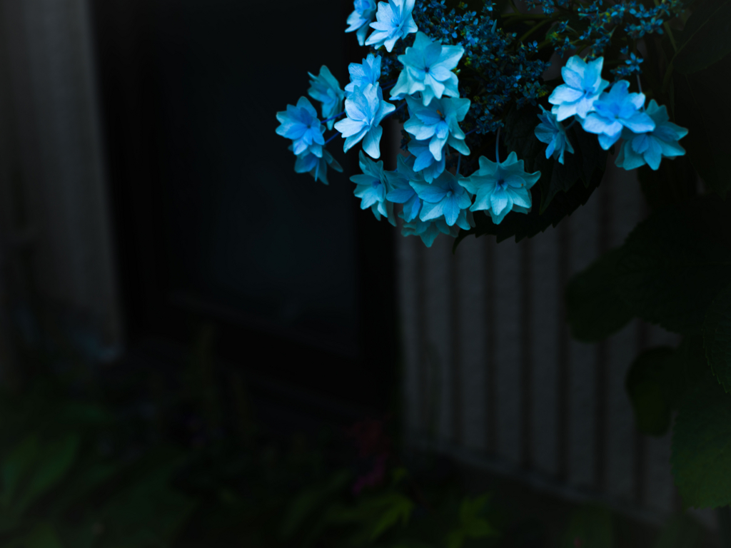 f:id:photter:20160606181619j:plain