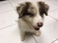 20190618124637