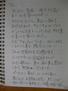 イメージ 6
