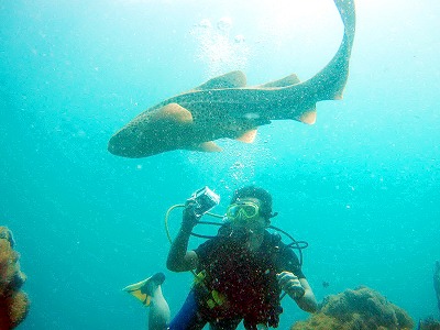 https://cdn-ak.f.st-hatena.com/images/fotolife/p/phuket_bluemarine/20190825/20190825165000.jpg