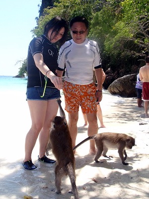 https://cdn-ak.f.st-hatena.com/images/fotolife/p/phuket_bluemarine/20190825/20190825172251.jpg