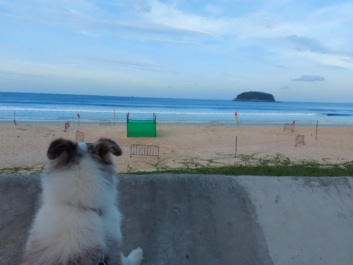f:id:phuket_bluemarine:20210102162836j:plain