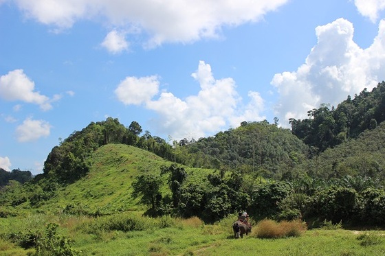 f:id:phukettown:20190312003542j:plain f:id:phukettown:20190312003542j:plain