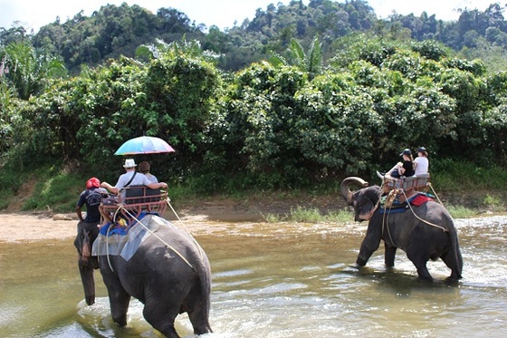 f:id:phukettown:20190312003620j:plain f:id:phukettown:20190312003620j:plain