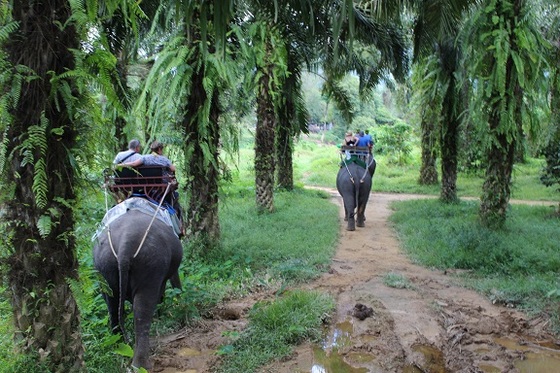 f:id:phukettown:20190312003803j:plain f:id:phukettown:20190312003803j:plain