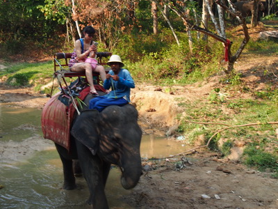 f:id:phukettown:20190315005717j:plain