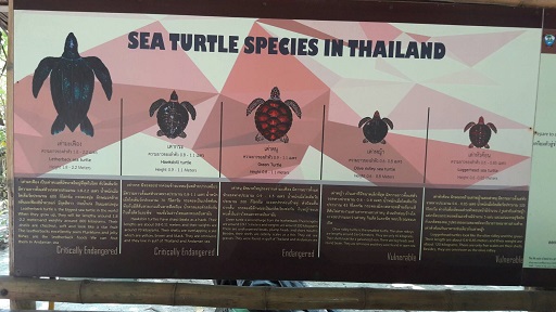 f:id:phukettown:20190422225653j:plain