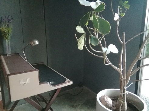 f:id:phukettown:20190506225009j:plain f:id:phukettown:20190506225009j:plain