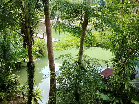 f:id:phukettown:20190916144859j:plain